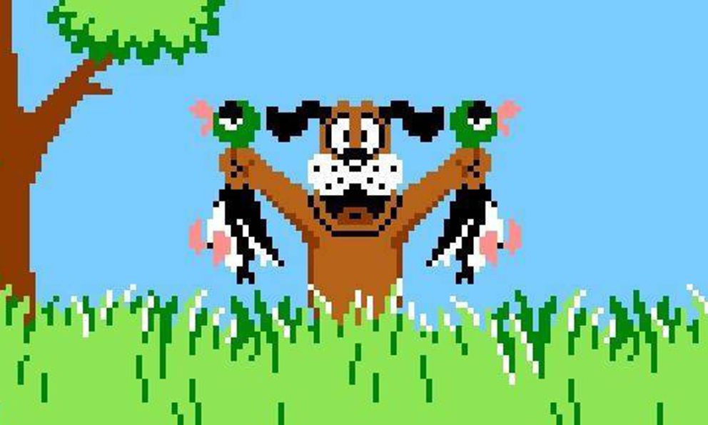 Duck Hunt gameplay Screenshot